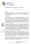 Vista preliminar de documento RGM280