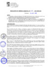 Vista preliminar de documento RGM533