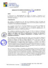 Vista preliminar de documento RGM534