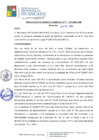 Vista preliminar de documento RGM541
