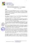 Vista preliminar de documento RGM616