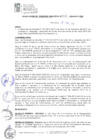 Vista preliminar de documento RGM015