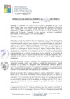 Vista preliminar de documento RGM079