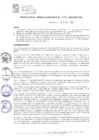 Vista preliminar de documento RGM083