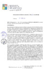 Vista preliminar de documento RGM191