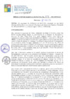 Vista preliminar de documento RGM207