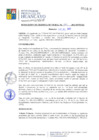 Vista preliminar de documento RGM281