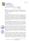 Vista preliminar de documento RGM291