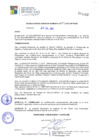 Vista preliminar de documento RGM294