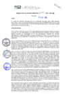 Vista preliminar de documento RGM293