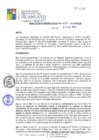 Vista preliminar de documento RGM301