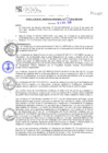 Vista preliminar de documento RGM299