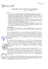 Vista preliminar de documento RGM302