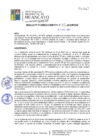 Vista preliminar de documento RGM309