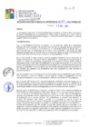 Vista preliminar de documento RGM317