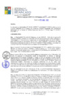 Vista preliminar de documento RGM316