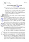 Vista preliminar de documento RGM319