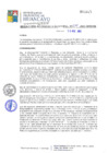 Vista preliminar de documento RGM324