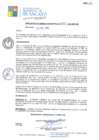 Vista preliminar de documento RGM14445
