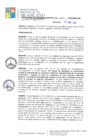 Vista preliminar de documento RGM15009