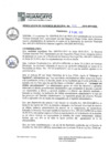 Vista preliminar de documento RGM15017