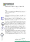 Vista preliminar de documento RGM15153