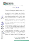 Vista preliminar de documento RGM15155