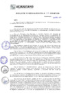 Vista preliminar de documento RGM15169
