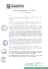 Vista preliminar de documento RGM15173