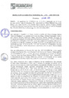 Vista preliminar de documento RGM15176