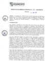 Vista preliminar de documento rgm16113