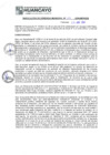 Vista preliminar de documento rgm16117