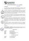 Vista preliminar de documento rgm16126
