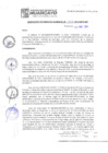 Vista preliminar de documento rgm16123