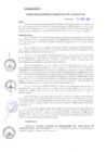 Vista preliminar de documento rgm16130