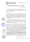 Vista preliminar de documento rgm16131