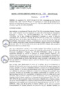 Vista preliminar de documento rgm16133