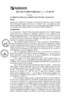 Vista preliminar de documento rgm17044