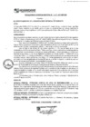Vista preliminar de documento rgm17047