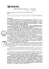 Vista preliminar de documento rgm17110