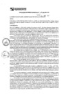 Vista preliminar de documento rgm17107