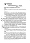 Vista preliminar de documento rgm17111
