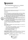 Vista preliminar de documento rgm17114