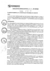 Vista preliminar de documento rgm17115