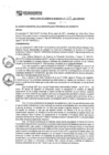 Vista preliminar de documento rgm17129