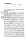 Vista preliminar de documento rgm17289