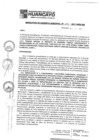 Vista preliminar de documento rgm17283