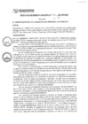 Vista preliminar de documento rgm17296