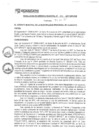 Vista preliminar de documento rgm17295