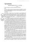 Vista preliminar de documento rgm17293